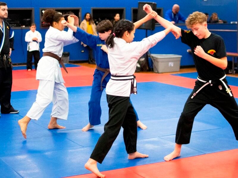 Level 10 Martial Arts College